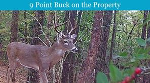 0 E PR 6150 - Photo 3