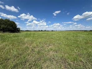 1945 Chisolm Trail Parkway - Photo 23