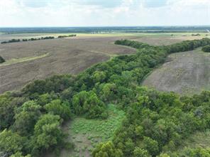 14589 Farm Road 137 - Photo 6