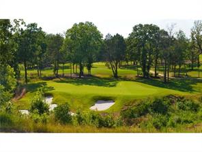 TBD Palisades Dr - Photo 11