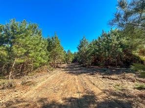 6 County Road 3121 - Photo 10