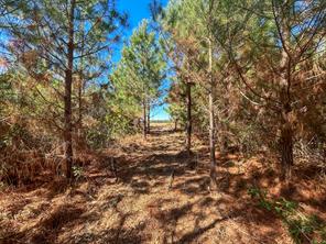 6 County Road 3121 - Photo 11