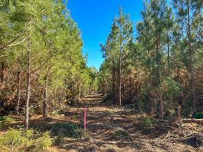 6 County Road 3121 - Photo 12