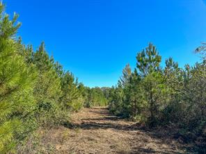 6 County Road 3121 - Photo 13