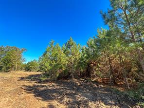 6 County Road 3121 - Photo 14
