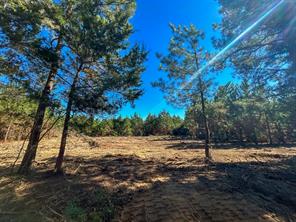 6 County Road 3121 - Photo 3