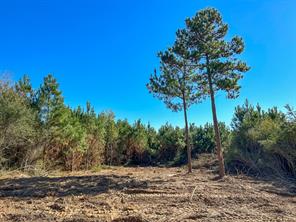 6 County Road 3121 - Photo 4