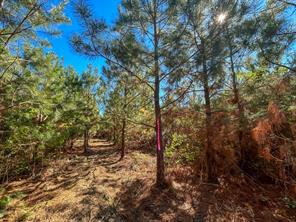 6 County Road 3121 - Photo 5