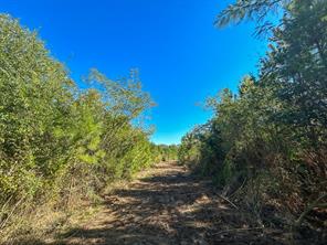 6 County Road 3121 - Photo 6