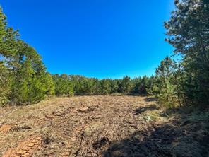 6 County Road 3121 - Photo 7