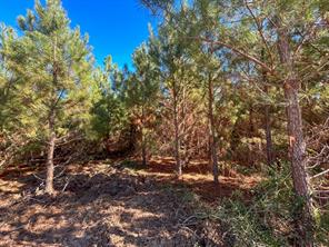 6 County Road 3121 - Photo 8