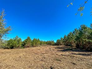 6 County Road 3121 - Photo 9