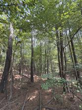TBD County Road 283 - Photo 11