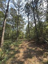 TBD County Road 283 - Photo 12