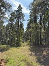 TBD County Road 283 - Photo 19