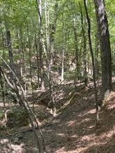 TBD County Road 283 - Photo 22