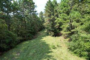 TBD County Road 283 - Photo 8