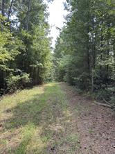 TBD County Road 283 - Photo 9