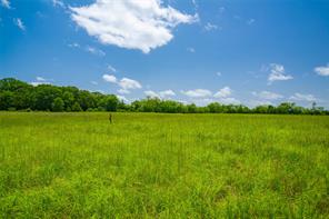0 County Road 3311 - Photo 10