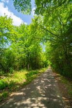 0 County Road 3311 - Photo 13