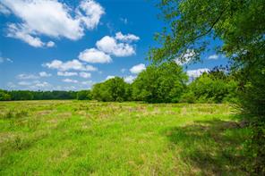 0 County Road 3311 - Photo 2