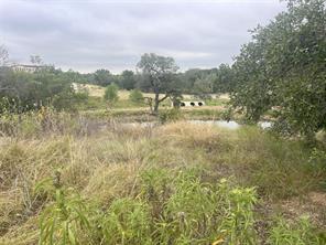 1127 Eagles Bluff Drive - Photo 10