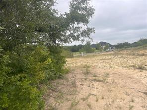 1127 Eagles Bluff Drive - Photo 11