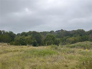 1127 Eagles Bluff Drive - Photo 13