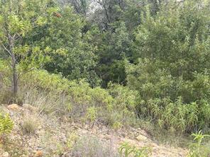 1127 Eagles Bluff Drive - Photo 14