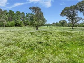 0000 VZ County Road 2212 - Photo 20