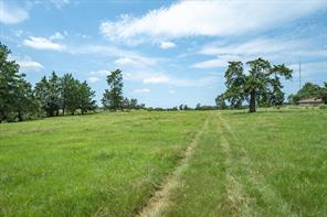 0000 VZ County Road 2212 - Photo 6
