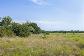 TBD County Road 520 - Photo 15