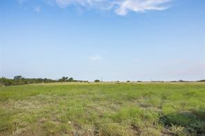 TBD County Road 520 - Photo 16