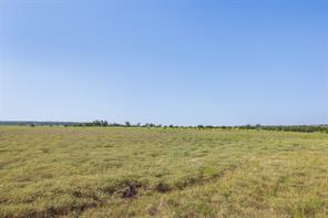TBD County Road 520 - Photo 2