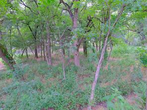 2414 Summer Brook Court - Photo 23