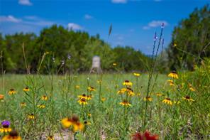180 County Road 140 - Photo 13