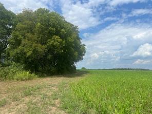 TBD Us-82 and FM 1743 - Photo 10