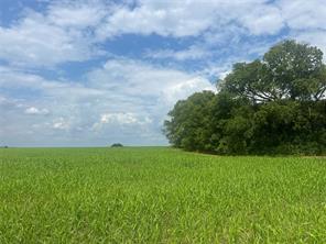 TBD Us-82 and FM 1743 - Photo 9