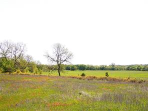 55 AC Starr Mann - Photo 4