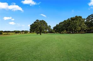 4425 County Road 711 - Photo 19
