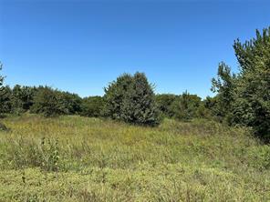 100 N Agnew Street - Photo 13