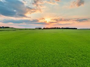TBD County Road 138 - Photo 12