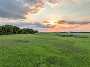 TBD County Road 138 - Photo 15