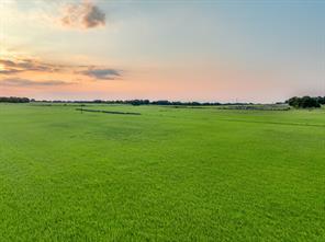 TBD County Road 138 - Photo 16