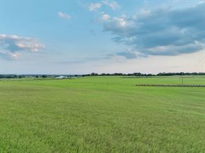 TBD County Road 138 - Photo 19
