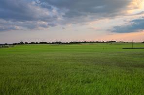 TBD County Road 138 - Photo 2