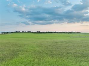 TBD County Road 138 - Photo 21