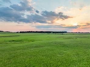 TBD County Road 138 - Photo 23