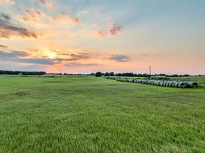 TBD County Road 138 - Photo 24