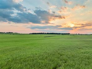 TBD County Road 138 - Photo 26